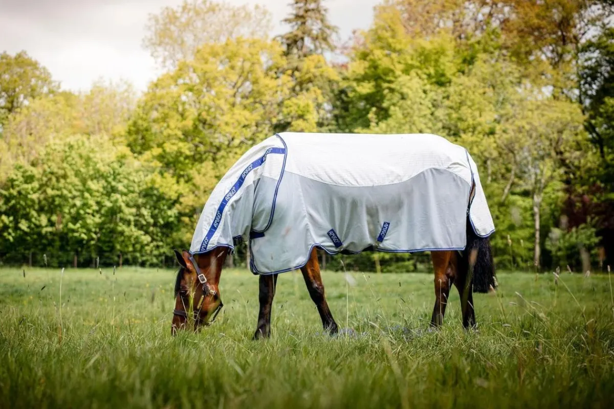 Horseware Ireland Amigo Airflow insektsbeskyttelse dekken - Check/Atlantic Blu< Insektsdekken