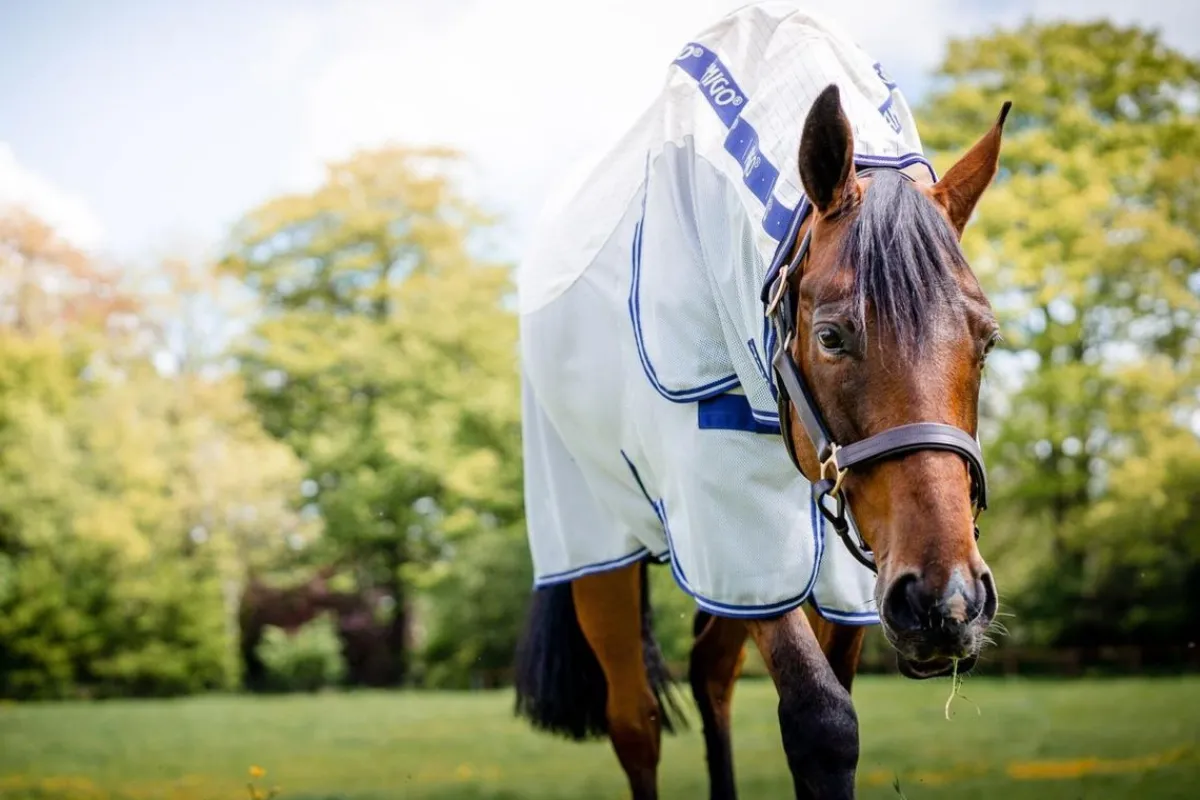 Horseware Ireland Amigo Airflow insektsbeskyttelse dekken - Check/Atlantic Blu< Insektsdekken