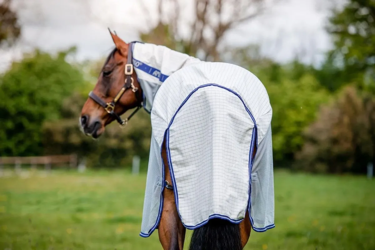 Horseware Ireland Amigo Airflow insektsbeskyttelse dekken - Check/Atlantic Blu< Insektsdekken