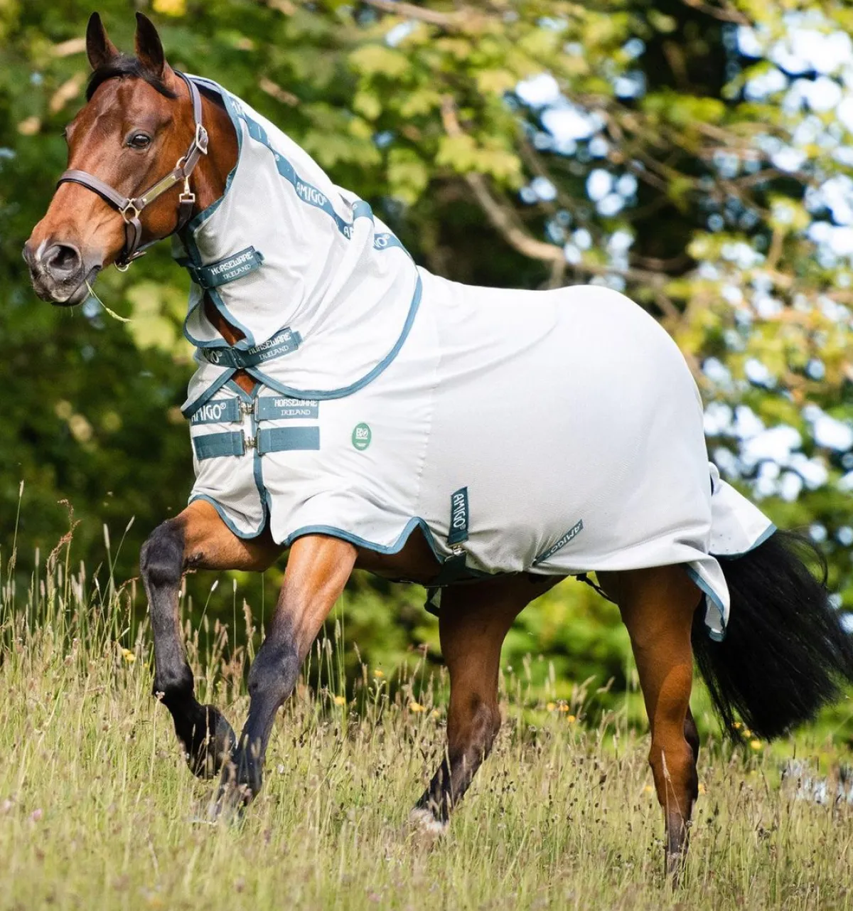 Horseware Ireland Amigo AmECO Bug Rug Fluedekken med hals< Insektsdekken