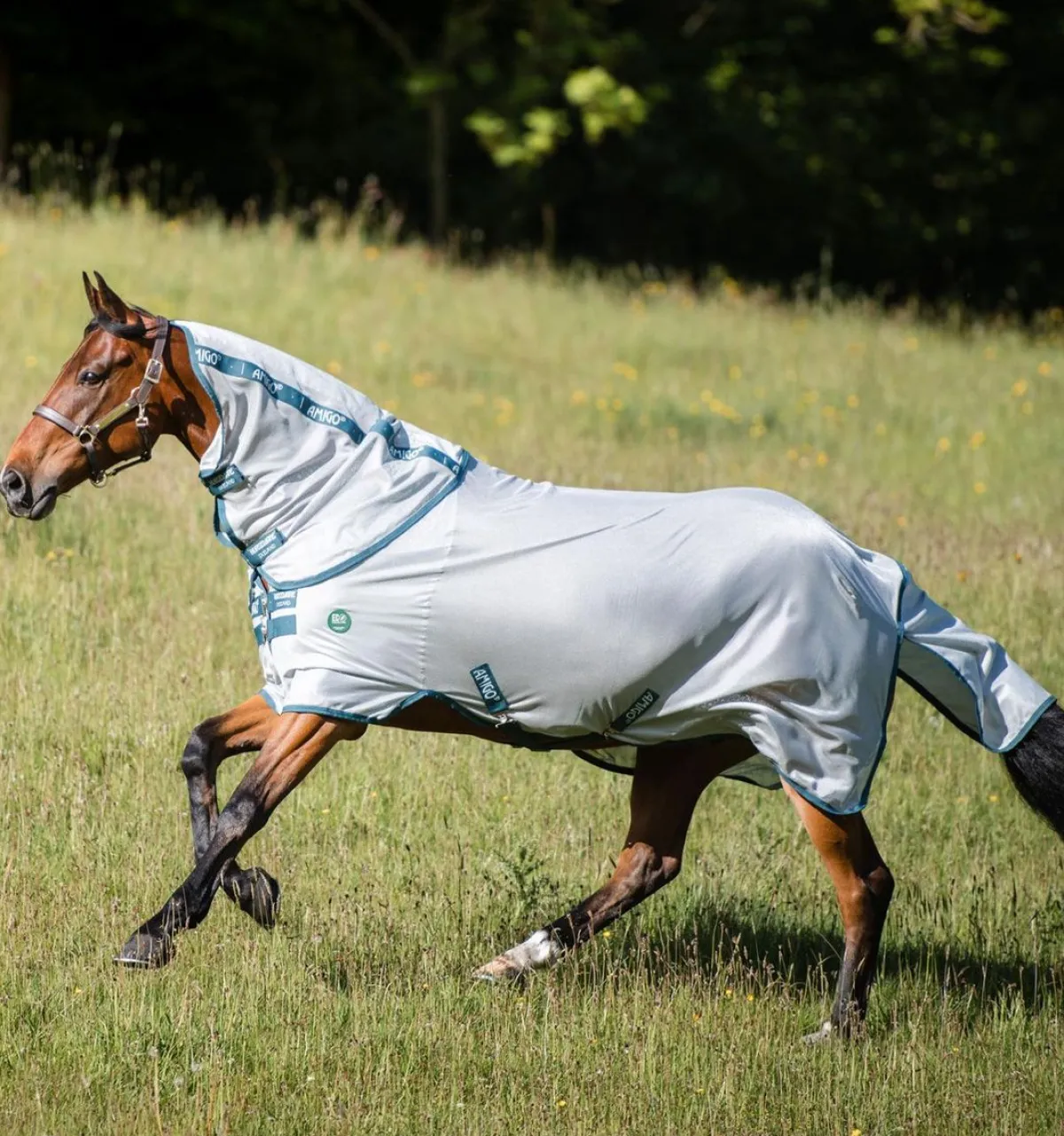 Horseware Ireland Amigo AmECO Bug Rug Fluedekken med hals< Insektsdekken