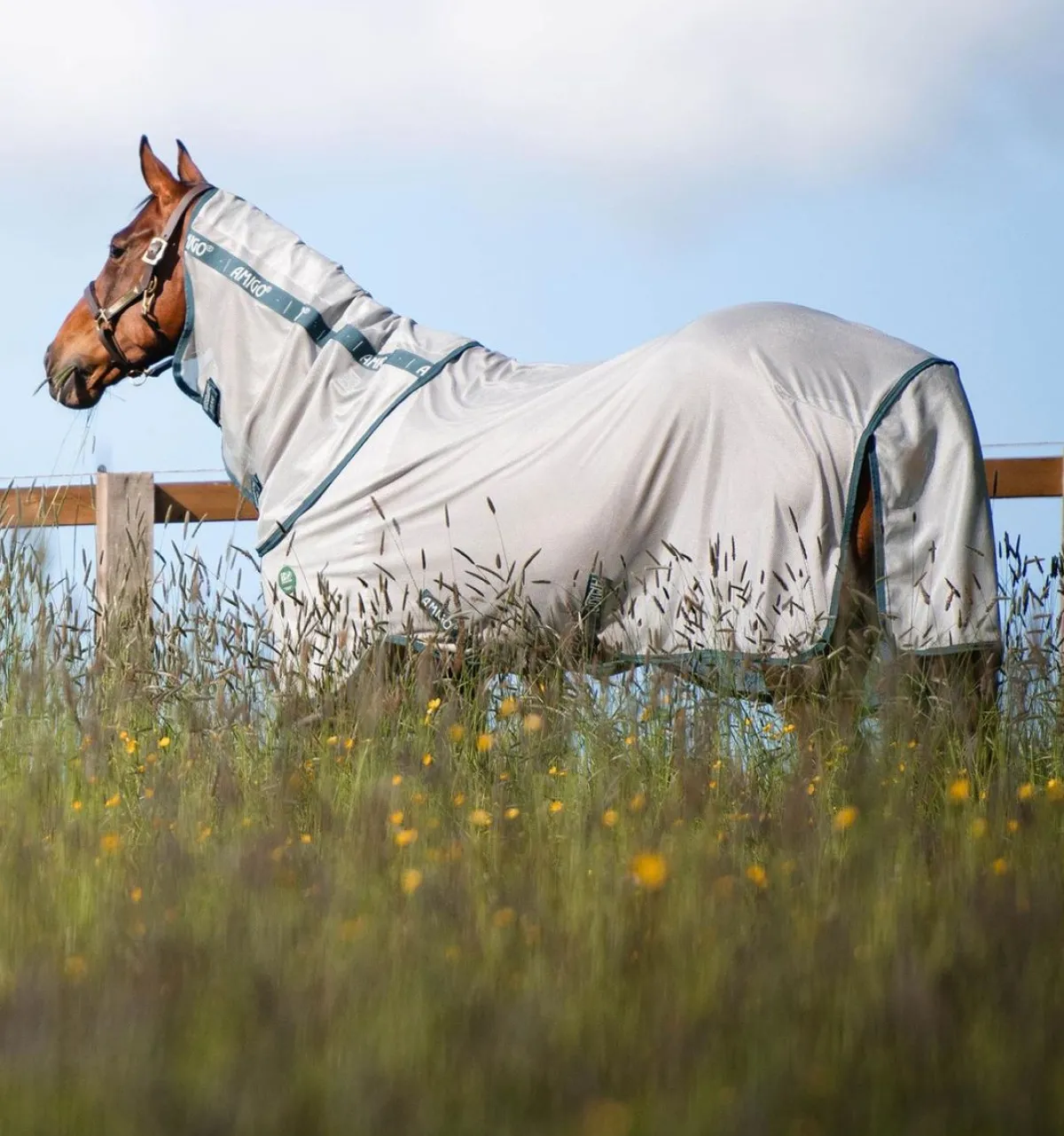 Horseware Ireland Amigo AmECO Bug Rug Fluedekken med hals< Insektsdekken