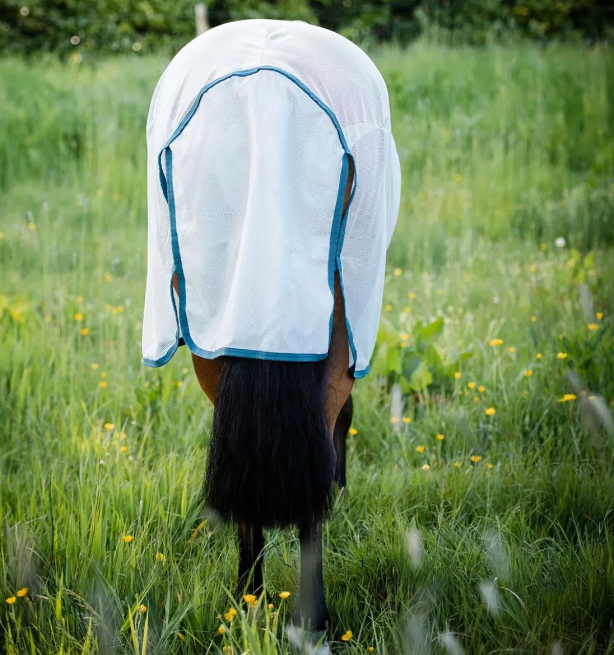Horseware Ireland Amigo AmECO Bug Rug Fluedekken med hals< Insektsdekken