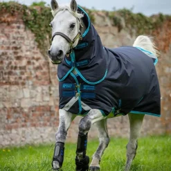 Horseware Ireland Amigo Bravo Ponni Plus - Medium 250g - Navy/Eletric blue< Regndekken