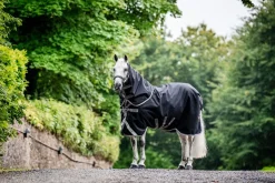 Horseware Ireland Amigo 1200D Plus Bundle< Regndekken