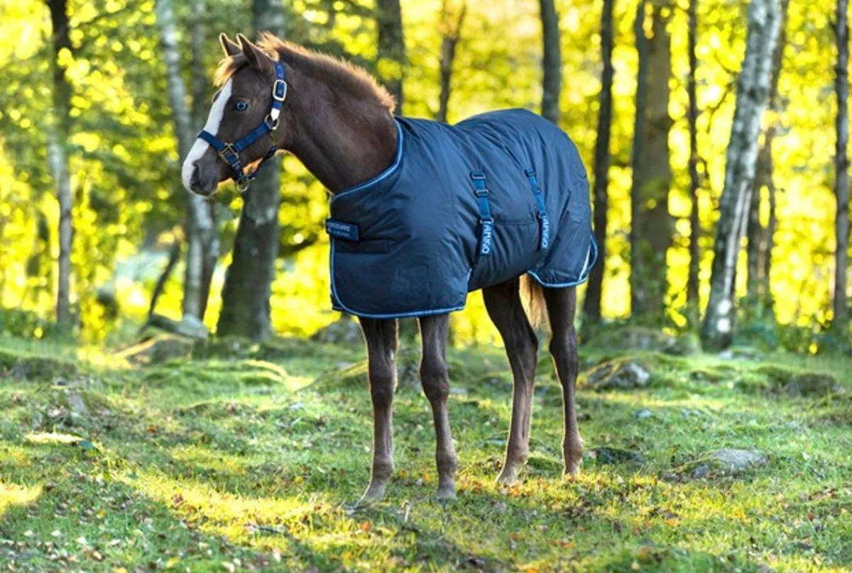 Horseware Ireland Amigo Følldekken 900D Ripstop - 50gr< Regndekken