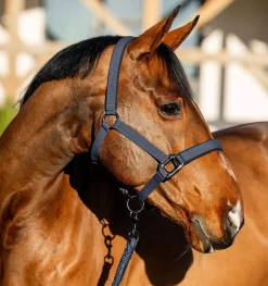 Horseware Amigo Grime & Leietau< Nylongrimer