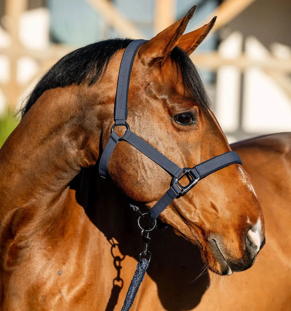 Horseware Amigo Grime & Leietau< Nylongrimer