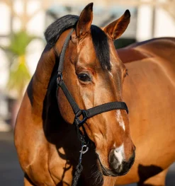 Horseware Amigo Grime & Leietau< Nylongrimer