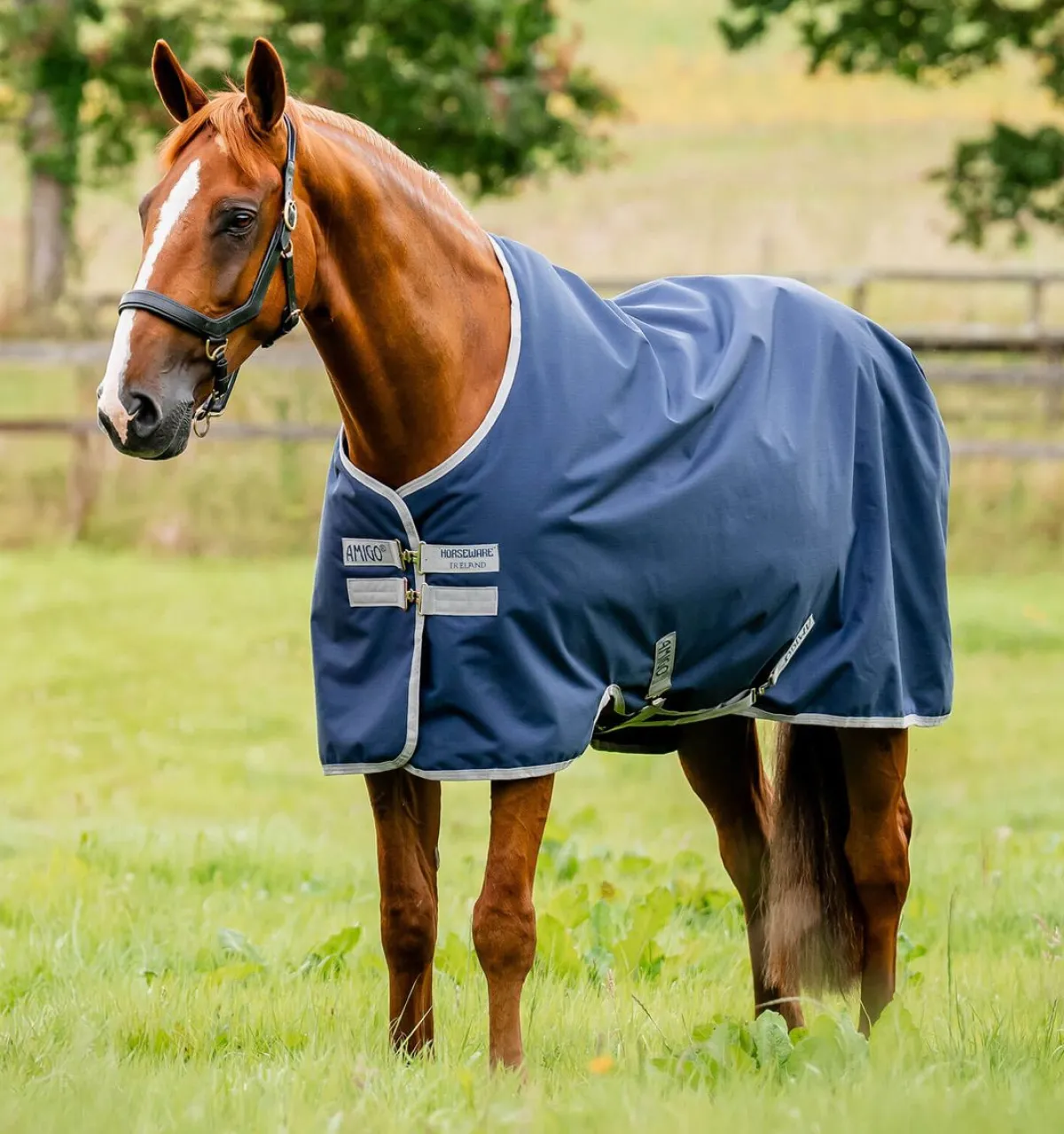 Horseware Ireland Amigo Ripstop 900D 50g - Navy/Titanium Grey< Regndekken