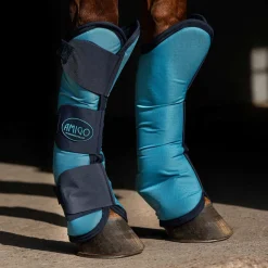 Horseware Ireland Amigo Transport Belegg< Transport Og Stall