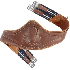 Antares anatomisk gjord< Gjorder