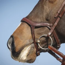 Antares Precision Hodelag med Y-nesereim< Hodelag