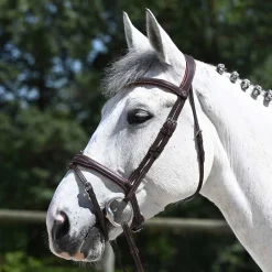 Antares Signature Hodelag< Hodelag