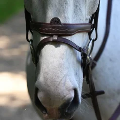 Antares Signature Hodelag< Hodelag