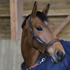 Antares Stressless Grime< Lærgrimer