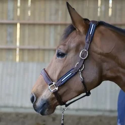 Antares Stressless Grime< Lærgrimer