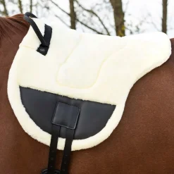 QHP Barbak pad Ontario< Sal