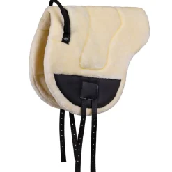 QHP Barbak pad Ontario< Sal