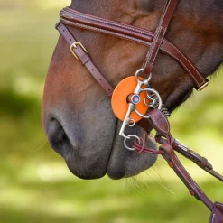 By Equalityline Pelham delta m/nylon - Brun & Sort< Tilbehør Til Hodelag