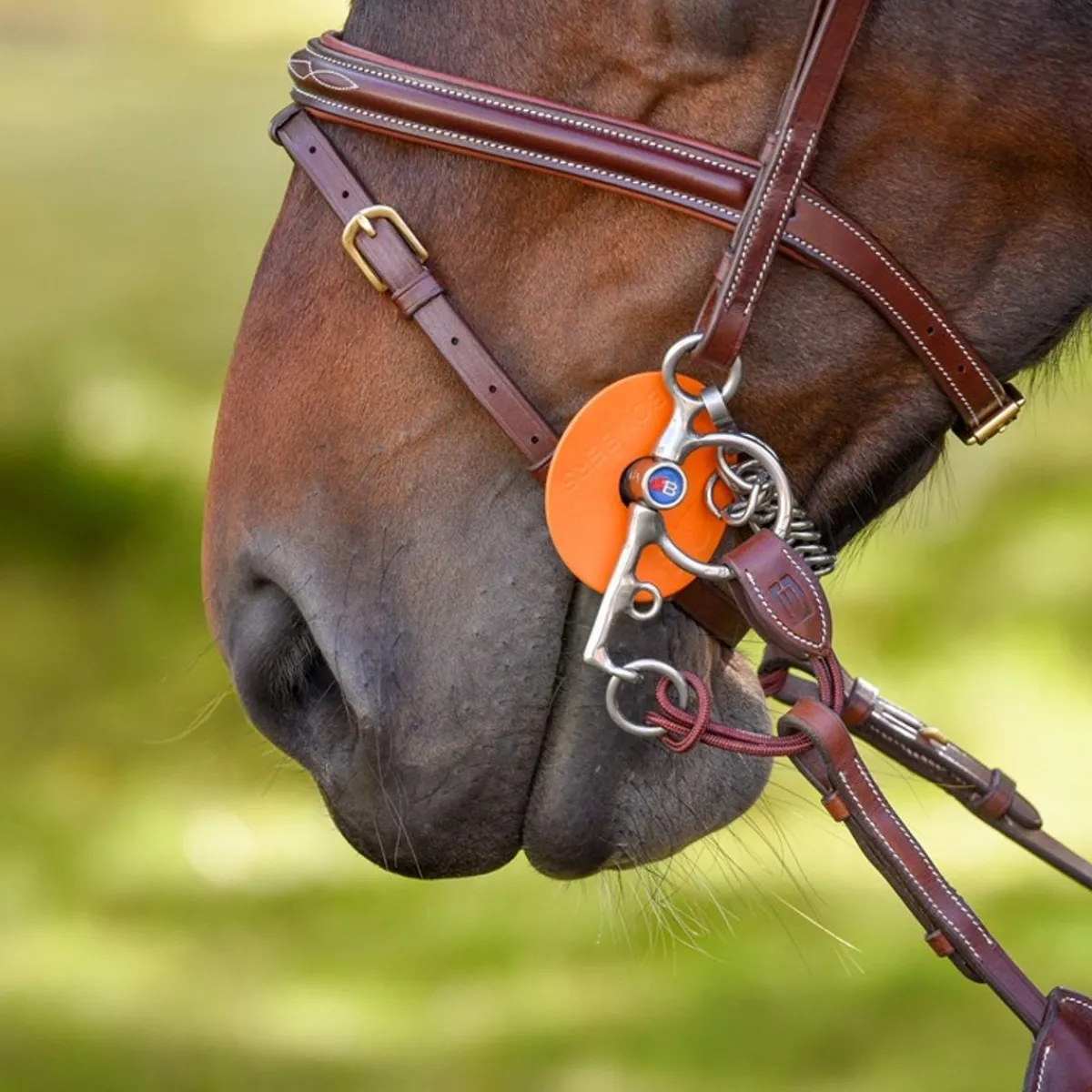 By Equalityline Pelham delta m/nylon - Brun & Sort< Tilbehør Til Hodelag