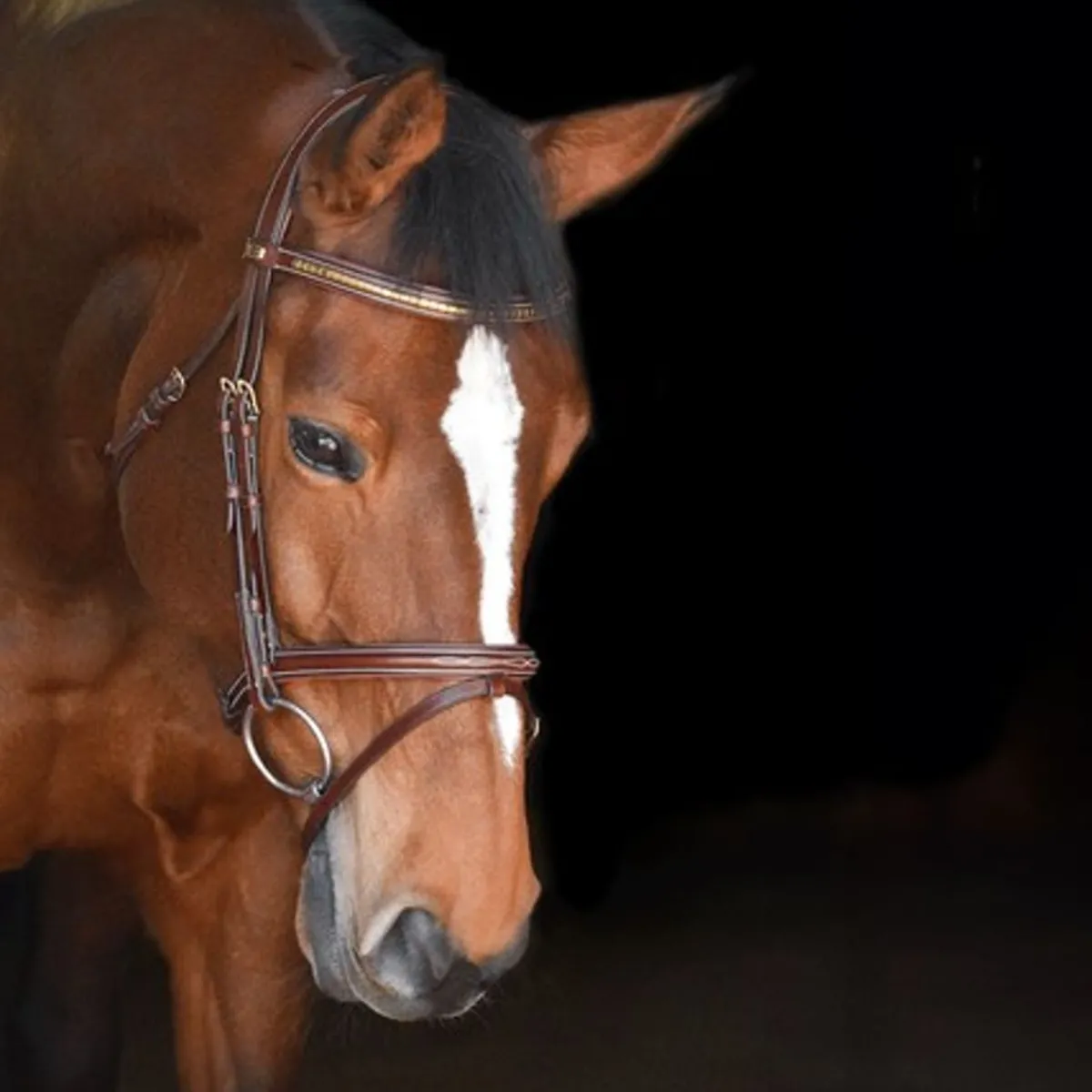 By Equalityline Thamar Kombinert Hodelag - Messing< Hodelag