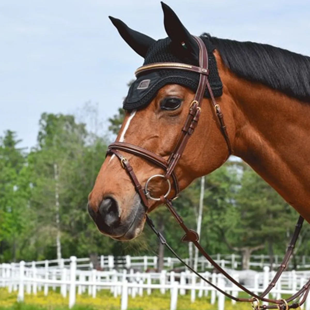 By Equalityline Thamar Kombinert Hodelag - Messing< Hodelag