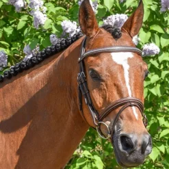 By Equalityline Thamar Kombinert Hodelag - Sølv< Hodelag