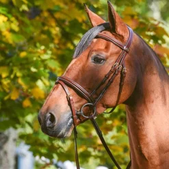 By Equalityline Wynswood Kombinert Hodelag< Hodelag