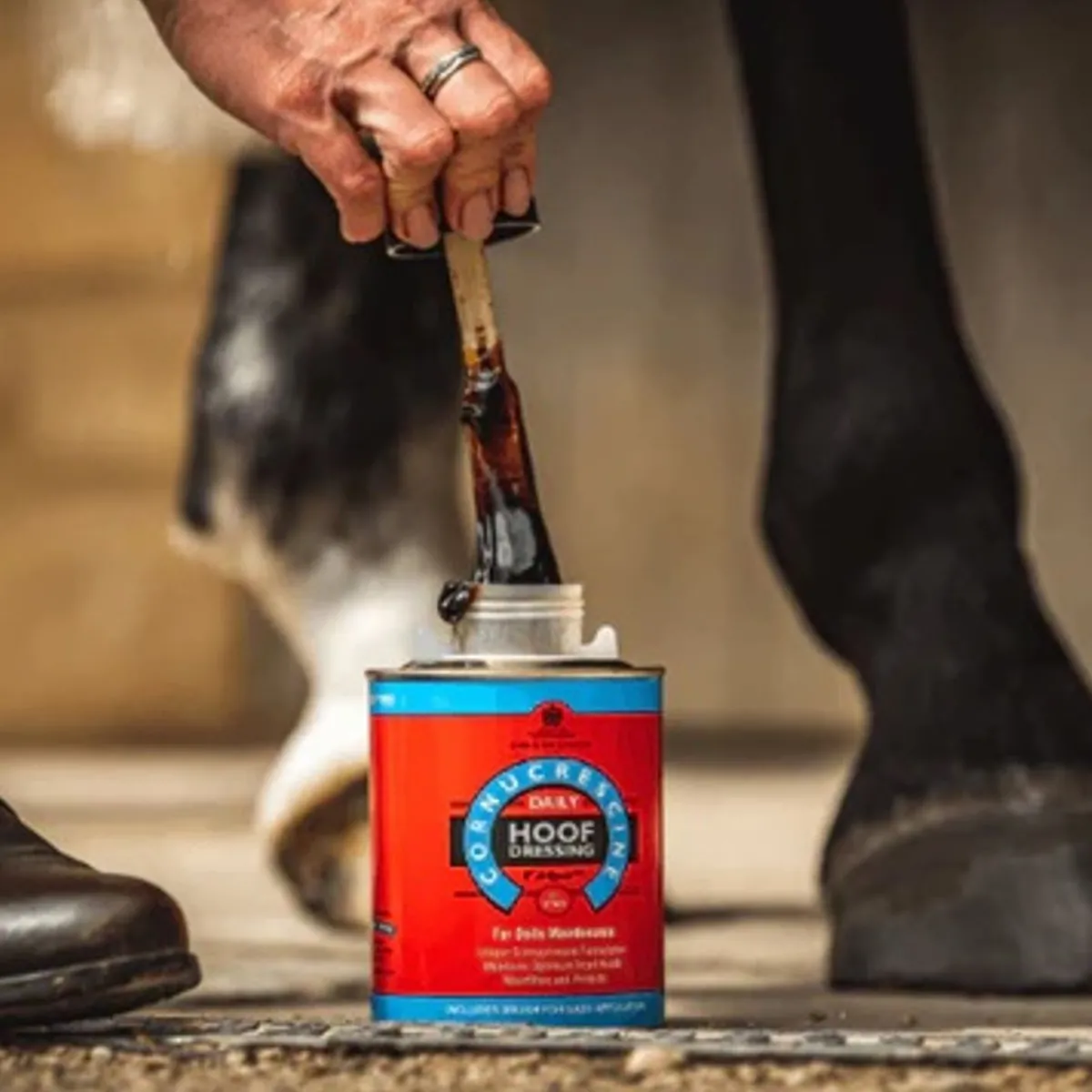 Carr&Day&Martin CDM Daily Hoof Dressing< Hovpleie