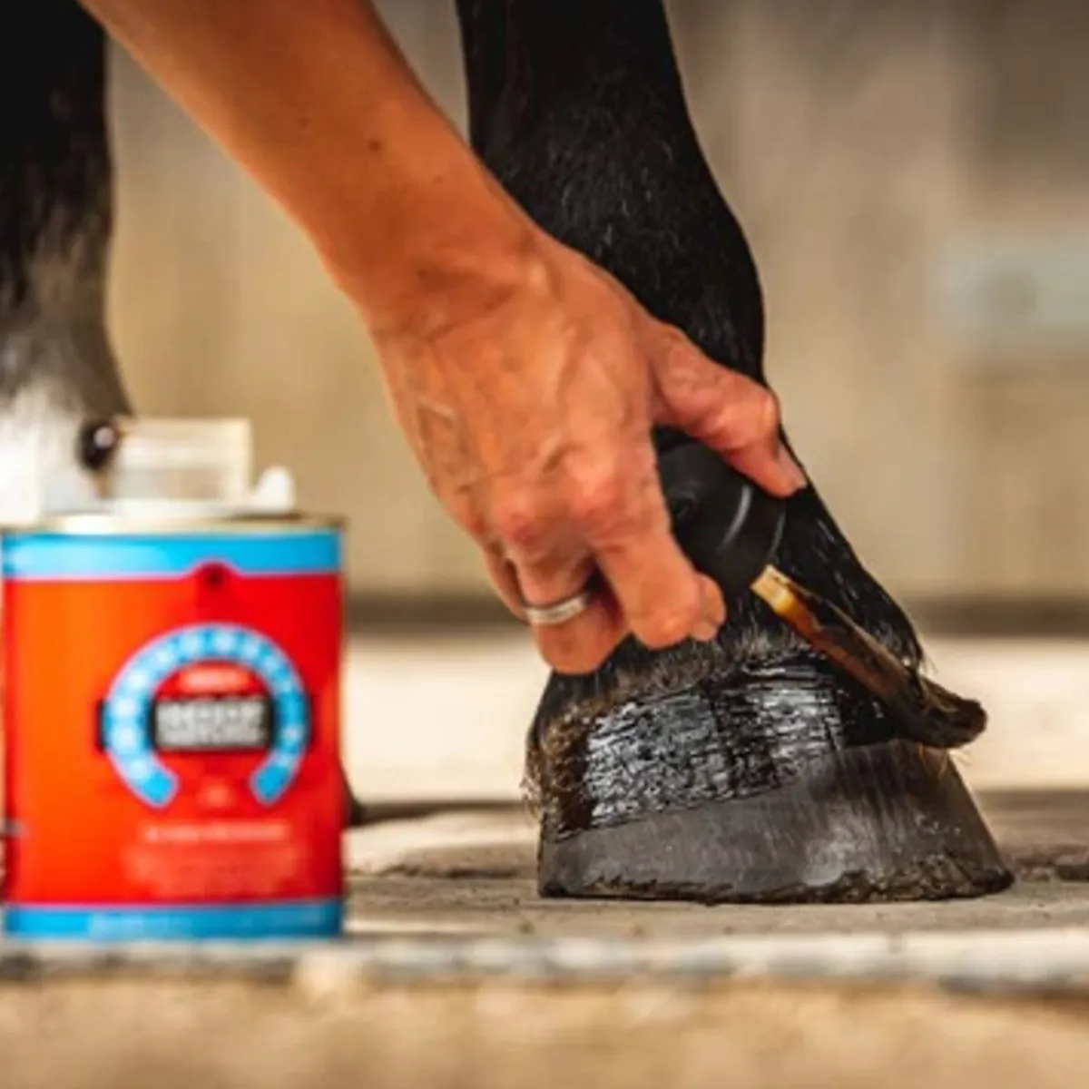 Carr&Day&Martin CDM Daily Hoof Dressing< Hovpleie