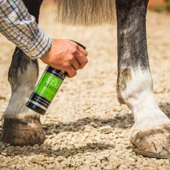 Carr&Day&Martin CDM Stainmaster 500ml< Pelspleie