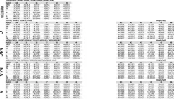 DeNiro Levante< Ridestøvler