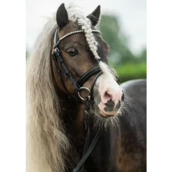 HKM Diamond Hodelag til Shetland Ponni< Hodelag