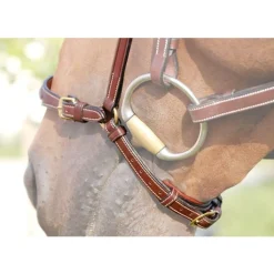 Dyon* Dyon anatomisk hodelag med remonte nesereim - DC< Hodelag