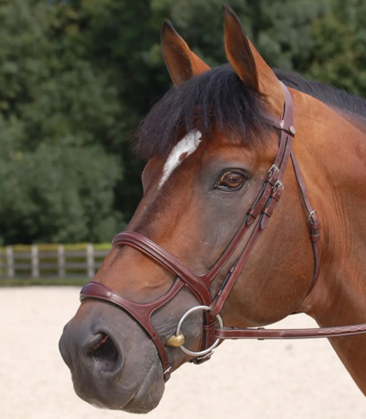 Dyon Dobbel nesereim - English Collection< Nesereim