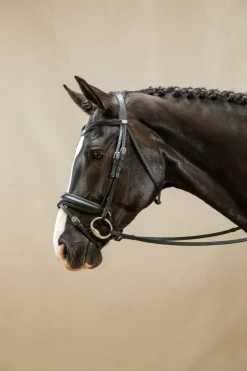 Dyon Dressur hodelag m/pullback nesereim WC< Hodelag