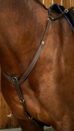 Dyon Fortøy elastisk Working Collection< Fortøy Og Martingal