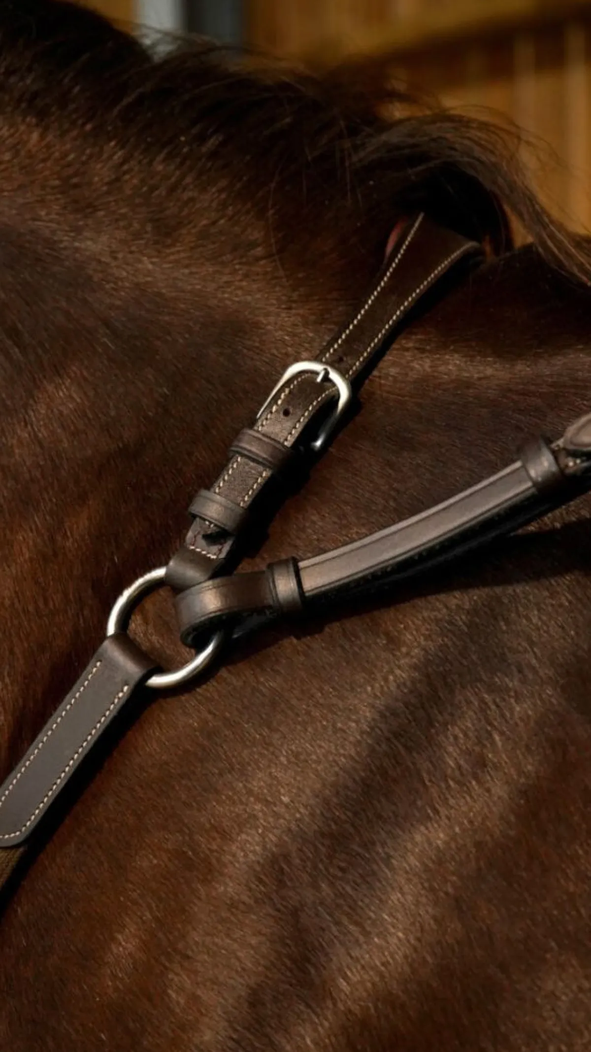 Dyon Fortøy elastisk Working Collection< Fortøy Og Martingal