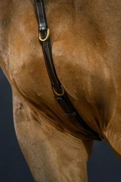 Dyon Fortøy Elastisk- Collection< Fortøy Og Martingal