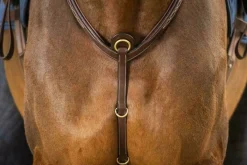 Dyon Fortøy Elastisk- Collection< Fortøy Og Martingal