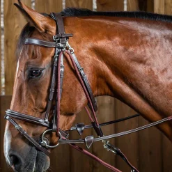 Dyon* Dyon Gogue i Working Collection< Longering