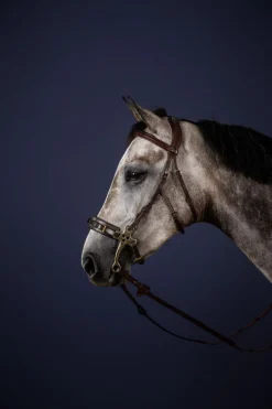 Dyon Hackamore hodelag NE Collection< Hodelag