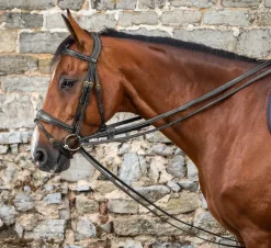 Dyon Hjelpetøyler - Collection< Tøyler