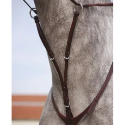 Dyon Kort Martingal - English Collection< Fortøy Og Martingal