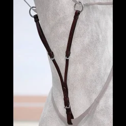 Dyon Kort Martingal - English Collection< Fortøy Og Martingal