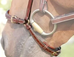 Dyon Remonte Nesereim - Collection< Nesereim