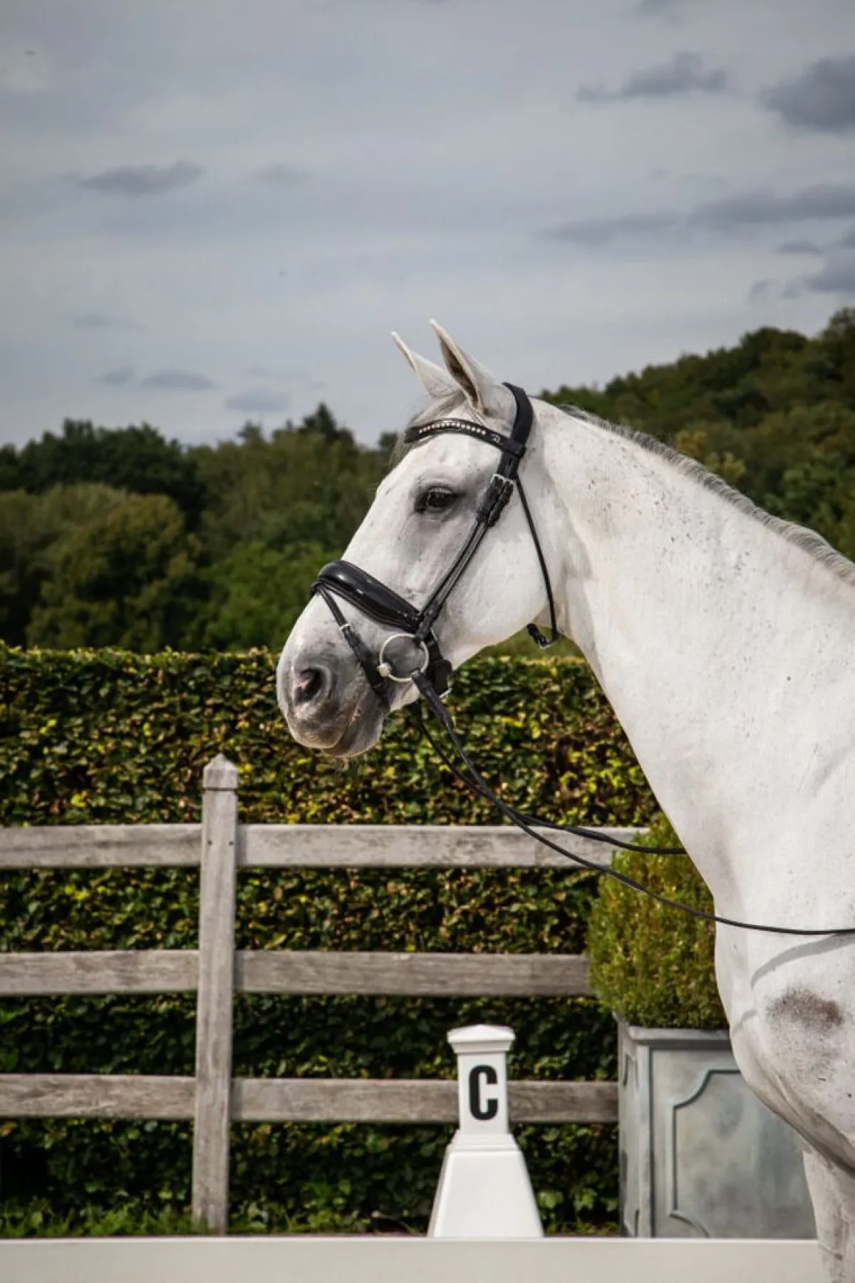 Dyon Rundsydd hodelag m/lakk og pullback nesereim< Hodelag