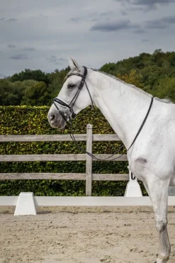 Dyon Rundsydd hodelag m/lakk og pullback nesereim< Hodelag