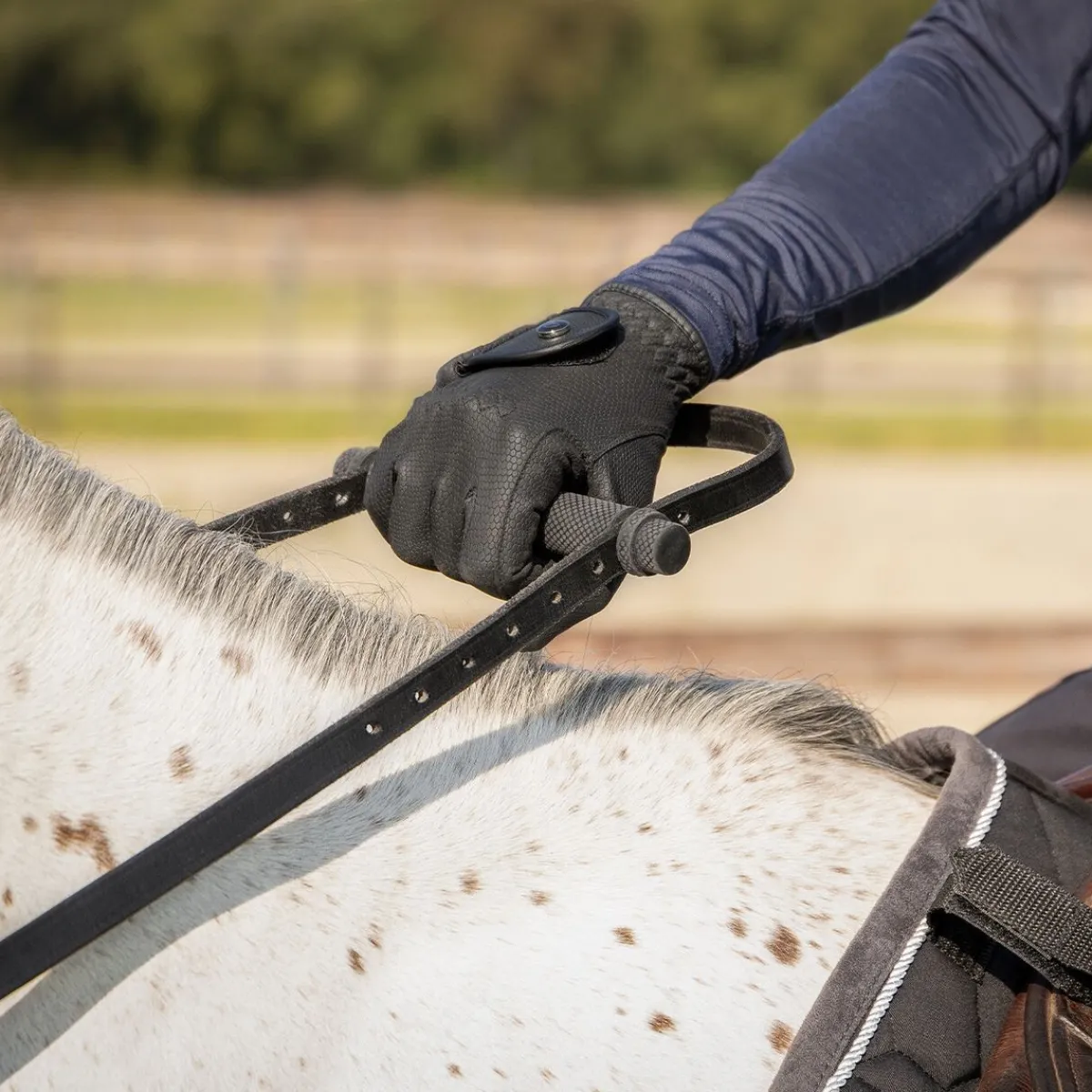 QHP Enhånds tøyle< Tøyler